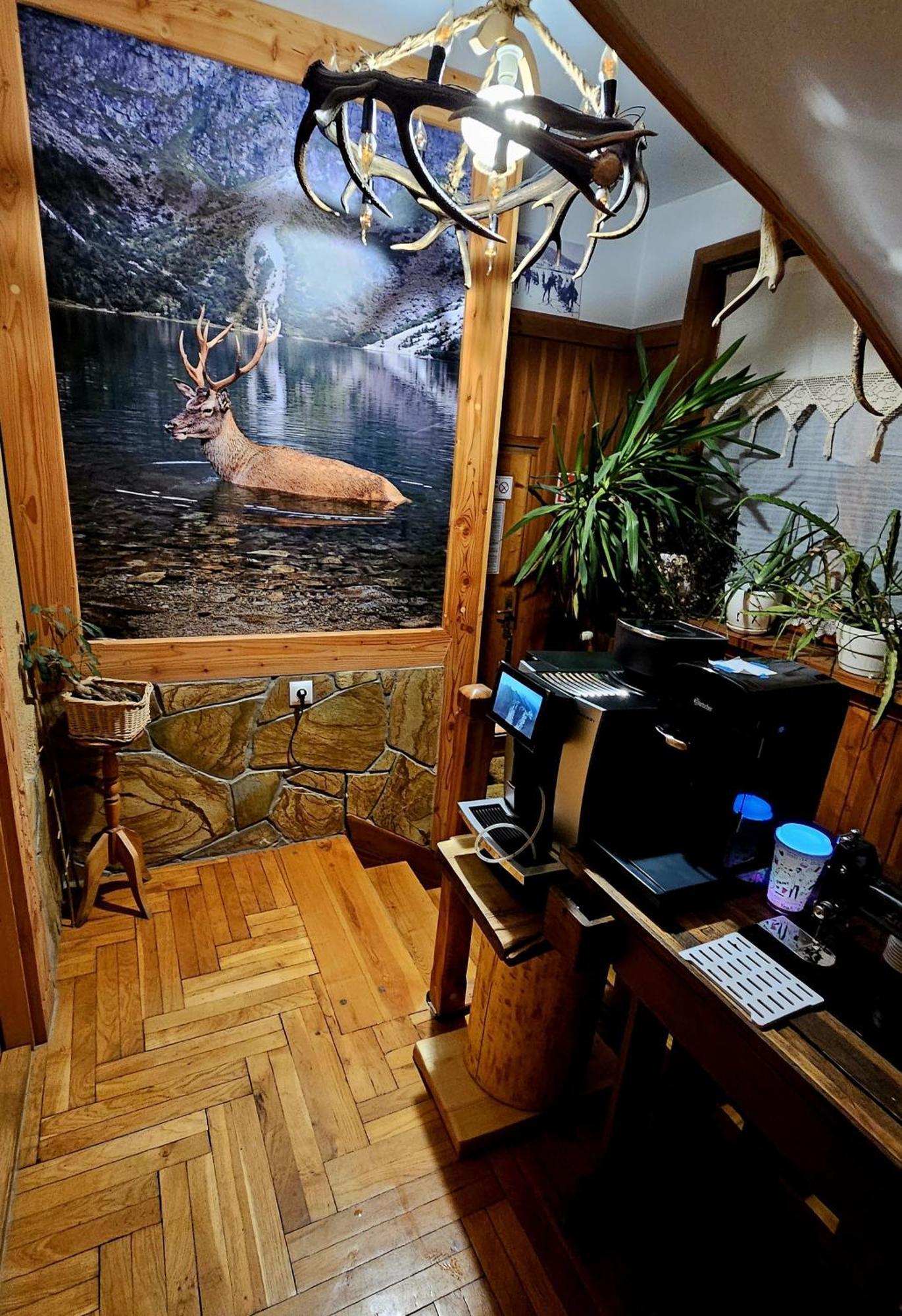 Apartament Rykowisko 扎科帕内 外观 照片